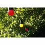 Aucune Guirnalda de 5 m con Bombillas de Colores y Negro