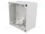 FIBOX MNX Carcasa Universal Gris ABS 130x130x75mm
