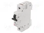 ETI POLAM Interruptor magnetotérmico ETIMAT 10 1P C10 10A 10kA