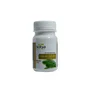 SOTYA Cola de Caballo 500 mg