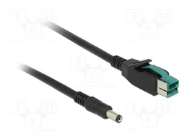 DeLOCK 85498 Cable PoweredUSB a conector de CC 5,5 x 2,1 mm, 2 m