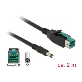 DeLOCK 85498 Cable PoweredUSB a DC 5,5 x 2,1 mm, 2 m