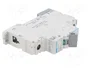HAGER NDN116 Interruptor magnetotérmico 16A 1 Polo 10kA