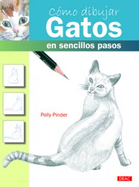 DRAC, Cómo dibujar Gatos en sencillos pasos