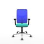 PIQUERAS Y CRESPO Silla de oficina Motilla con mecanismo Sincro, Turquesa y Azul