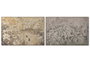 DKD Home Decor Cuadro Lino Abeto Flores Cerezo Surtido de 2 Piezas