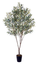 DKD Home Decor Árbol de Olivo Verde 80x80x220 cm
