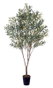 DKD Home Decor Árbol de Olivo Verde 80x80x220 cm