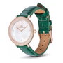 Daniel Wellington DW00100826 con correa verde y caja dorada