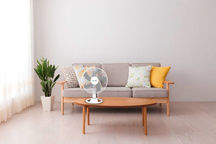 BLAUPUNKT Ventilador de Sobremesa 30 cm, Ventilador de Mesa con 3 Velocidades, Silencioso, Negro - Modelo de 30 cm