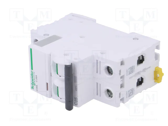 Schneider Electric iC60L Interruptor magnetotérmico 25A 2 Polos