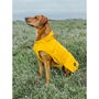 Hunter Abrigo Milford Amarillo Cuello 28-58 cm Vientre 46-60 cm Impermeable Resistente al Viento para Perros