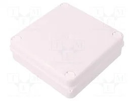 ELEKTRO-PLAST NASIELSK EP-LUX Caja de Conexiones Blanca IP55