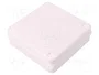 ELEKTRO-PLAST NASIELSK EP-LUX Caja de Conexiones Blanca IP55