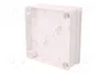 ELEKTRO-PLAST NASIELSK EP-LUX Caja de Conexiones Blanca IP55