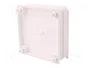 ELEKTRO-PLAST NASIELSK EP-LUX Caja de Conexiones Blanca IP55