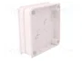 ELEKTRO-PLAST NASIELSK EP-LUX Caja de Conexiones Blanca IP55