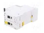 SCHNEIDER ELECTRIC Interruptor magnetotérmico ACTI9 iC60H 2 polos 6A Caract B