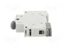 LEGRAND Interruptor de aislamiento FR300 63A 250VAC 1 polo