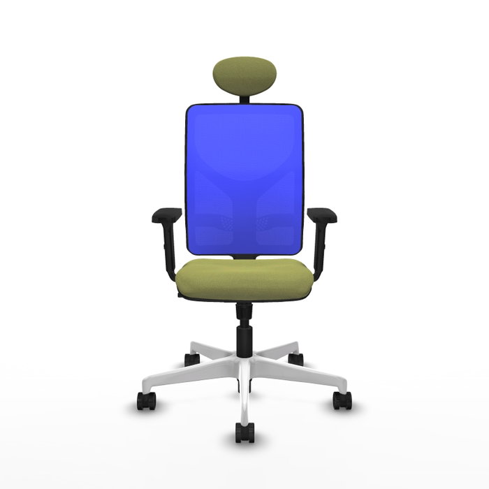 PIQUERAS Y CRESPO Silla de oficina Motilla con mecanismo Sincro Verde oliva y Azul PIQUERAS Y CRESPO Silla de oficina Motilla con mecanismo Sincro Verde oliva y Azul