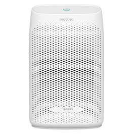 Cecotec BigDry 2000 Essential