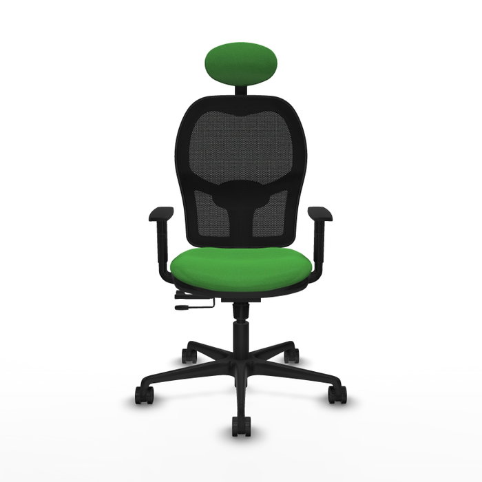 Silla de oficina Jorquera con mecanismo Sincro/Traslack tapizada con Tela color Verde y malla color Negro. Equipada con lumbar 1D, Brazos 1D, Cabecero Fijo y Ruedas 65mm nailon Silla de oficina Jorquera con mecanismo Sincro/Traslack tapizada con Tela color Verde y malla color Negro. Equipada con lumbar 1D, Brazos 1D, Cabecero Fijo y Ruedas 65mm nailon