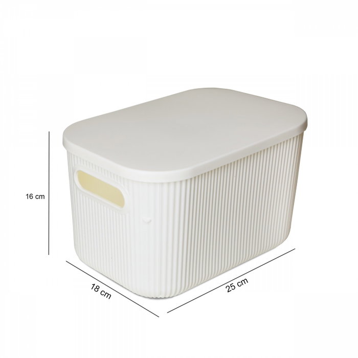 Aberto Design Organizador de Escritorio 2023 Plástico Crudo 18x25x16 cm 6.2 Litros