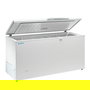 Infrico Congelador Arcon Horizontal, 344 Litros, 0.18 kW, Dimensiones 140x68x86 cm