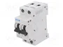 EATON ELECTRIC FAZ-C20/2-DC Interruptor magnetotérmico 20A 250VDC 2 Polos Curva C