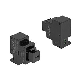 DeLOCK 41480 Módulo Keystone con puerto de carga USB Type-C™ PD 20 W Negro