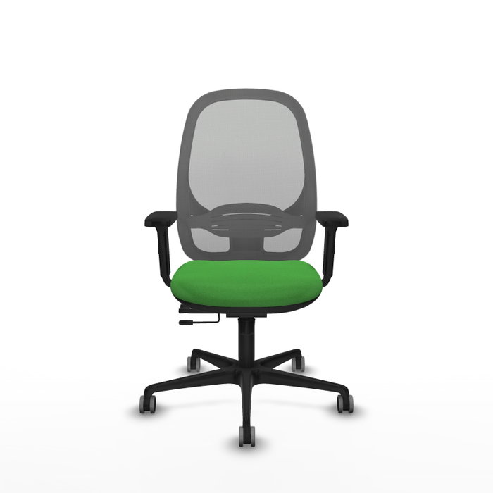 PIQUERAS Y CRESPO Silla de oficina Cilanco Verde y Gris PIQUERAS Y CRESPO Silla de oficina Cilanco Verde y Gris
