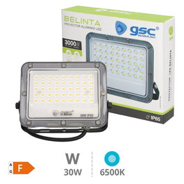 GSC Evolution Proyector LED Belinta 30W 6500K Negro