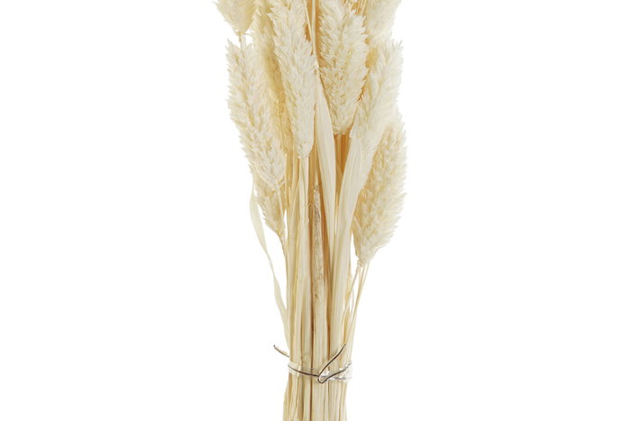 DKD Home Decor Ramo de Flores Secas Surtido Beige y Rosa Palo