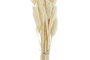 DKD Home Decor Ramo de Flores Secas Surtido Beige y Rosa Palo