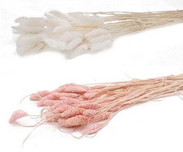 DKD Home Decor Ramo de Flores Secas Surtido Beige y Rosa Palo