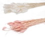 DKD Home Decor Ramo de Flores Secas Surtido Beige y Rosa Palo