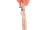 DKD Home Decor Ramo de Flores Secas Surtido Beige y Rosa Palo