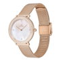 Daniel Wellington DW00100823 con bisel de cristales y correa dorada