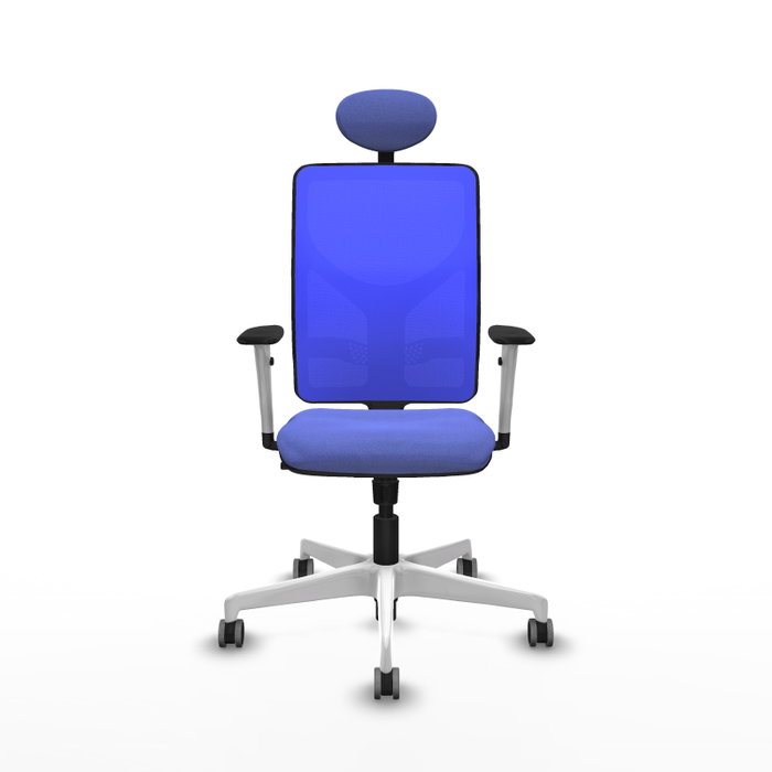 PIQUERAS Y CRESPO Silla de oficina Motilla con mecanismo Sincro, Azul PIQUERAS Y CRESPO Silla de oficina Motilla con mecanismo Sincro, Azul