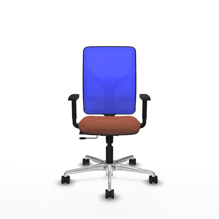 PIQUERAS Y CRESPO Silla de oficina Motilla con mecanismo Sincro/Traslack, tela marrón y malla azul PIQUERAS Y CRESPO Silla de oficina Motilla con mecanismo Sincro/Traslack, tela marrón y malla azul