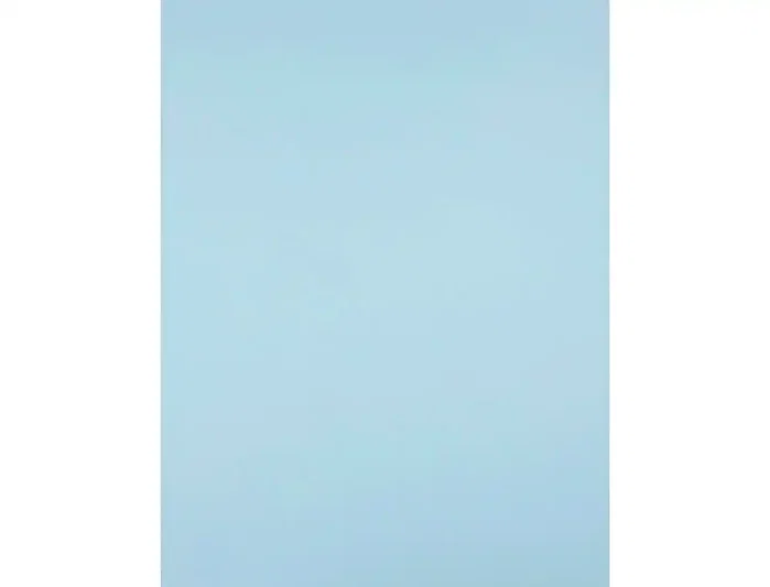 Liderpapel Cartulina 50x65 cm 240g/m2 Azul para Dibujo y Manualidades