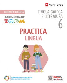 VICENS VIVES, PRACTICALINGUA 6 ACT (COMUNIDADE ZOOM)