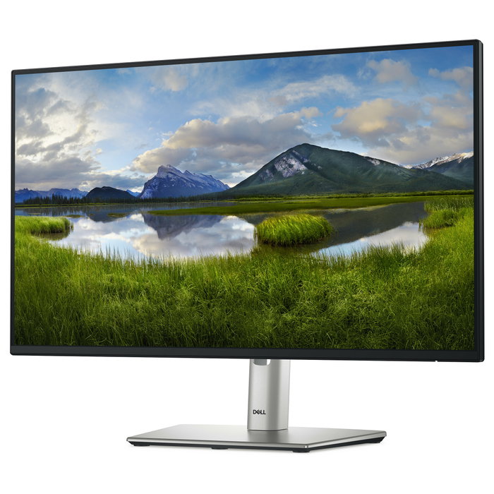 Dell Pro Plus P2425H - Monitor 23.8 pulgadas FHD (1920x1080) IPS, 5 ms, 100 Hz, USB-C, HDMI, DP, VGA, Negro/Gris - 60,5 cm (23.8")