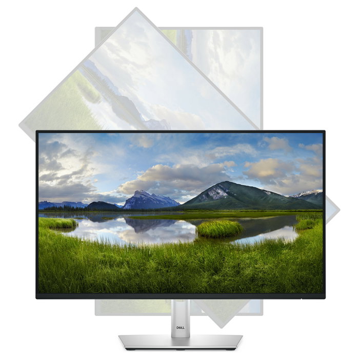 Dell Pro Plus P2425H - Monitor 23.8 pulgadas FHD (1920x1080) IPS, 5 ms, 100 Hz, USB-C, HDMI, DP, VGA, Negro/Gris - 60,5 cm (23.8")