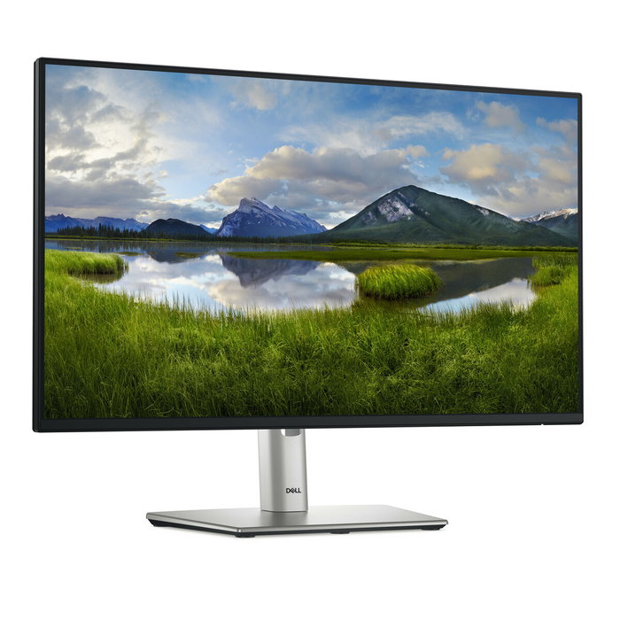 DELL Pro Plus P2425H 23.8'' Full HD IPS 100Hz Negro