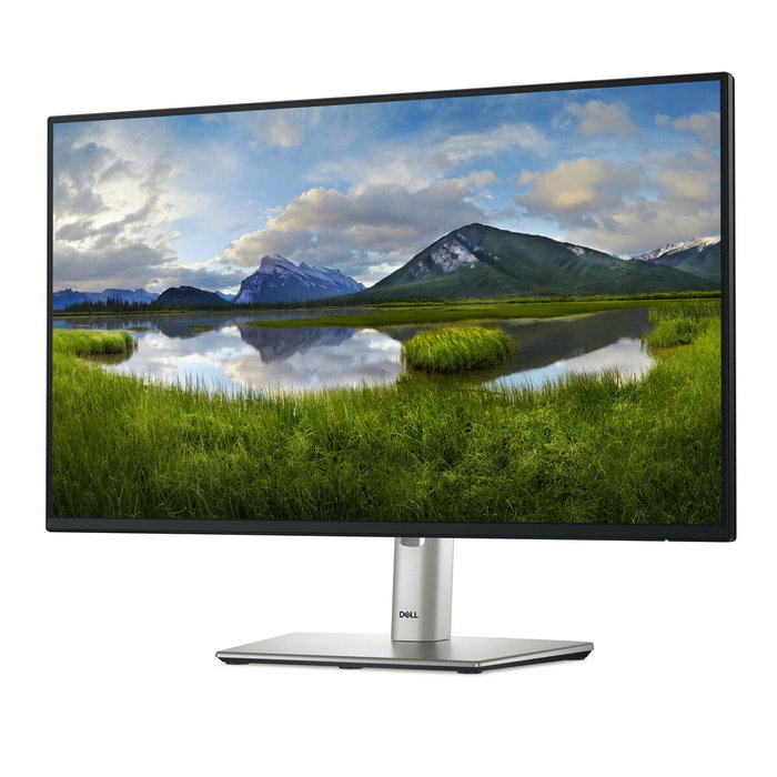 DELL Pro Plus P2425H 23.8'' Full HD IPS 100Hz Negro