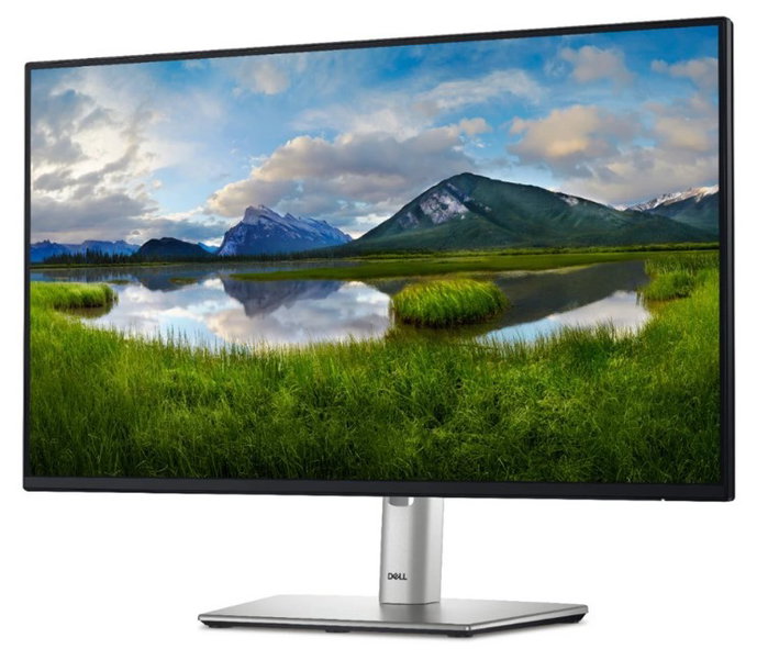 DELL Pro Plus P2425H 23.8'' Full HD IPS 100Hz Negro