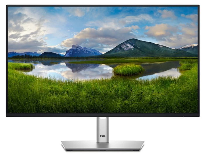 DELL Pro Plus P2425H 23.8'' Full HD IPS 100Hz Negro