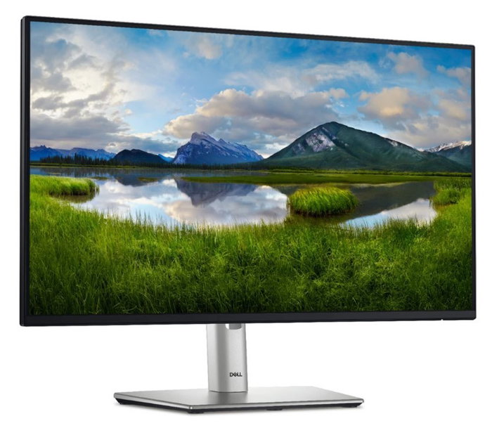 DELL Pro Plus P2425H 23.8'' Full HD IPS 100Hz Negro