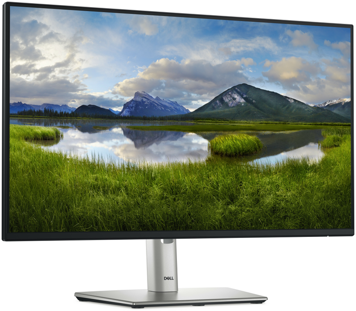 DELL Pro Plus P2425H 23.8'' Full HD IPS 100Hz Negro